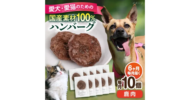 【ふるさと納税】【全6回定期便】ペットフード 鹿肉 100%ハンバーグ 10個セット ペット 愛犬 愛猫 おやつ ご褒美 ごはん 猫 犬 てづくり 国産 ドッグフード 【ペットフードYM japan】[AKEX012]