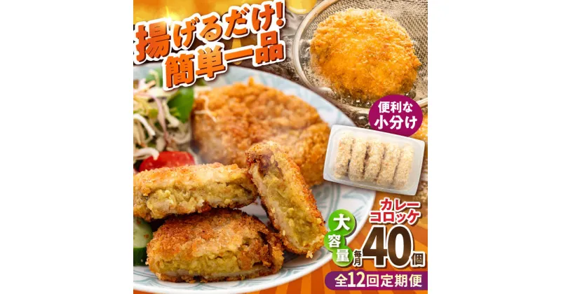 【ふるさと納税】【全12回定期便】カレーコロッケ 40個 3.4kg【有限会社丸伸商事】[AKFH029]