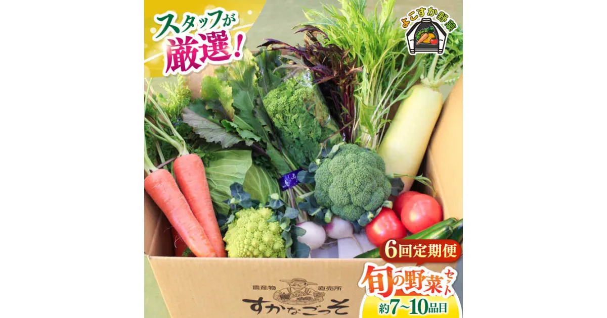 【ふるさと納税】【全6回定期便】よこすか野菜セット すかなボックス 旬 野菜 季節野菜 野菜定期 産地直送 定期便 厳選 横須賀 農産物 定期 【JAよこすか葉山】[AKFO008]