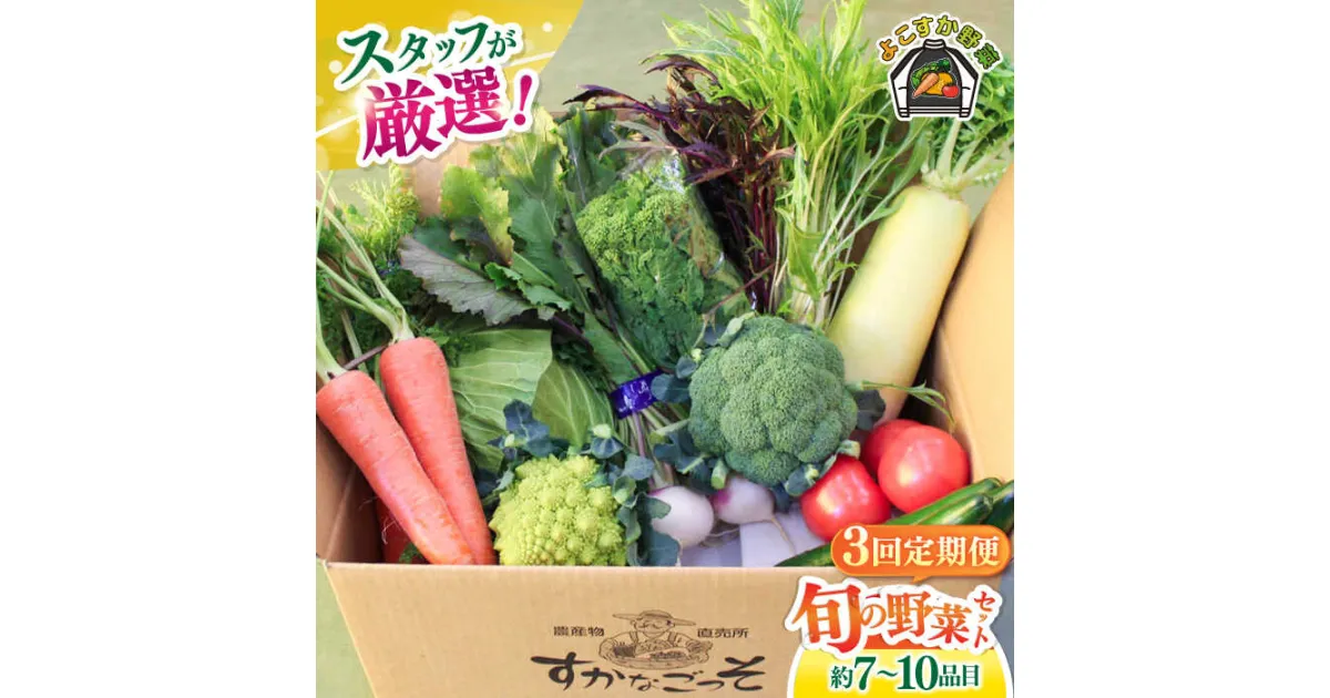 【ふるさと納税】【全3回定期便】よこすか野菜セット すかなボックス 旬 野菜 季節野菜 野菜定期 産地直送 定期便 厳選 横須賀 農産物 定期【JAよこすか葉山】[AKFO007]