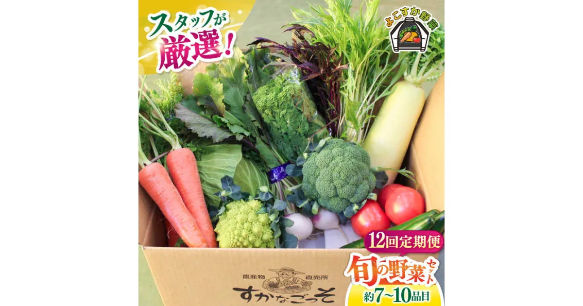 【ふるさと納税】【全12回定期便】よこすか野菜セット すかなボックス 旬 野菜 季節野菜 野菜定期 産地直送 定期便 厳選 横須賀 農産物 定期 【JAよこすか葉山】[AKFO009]