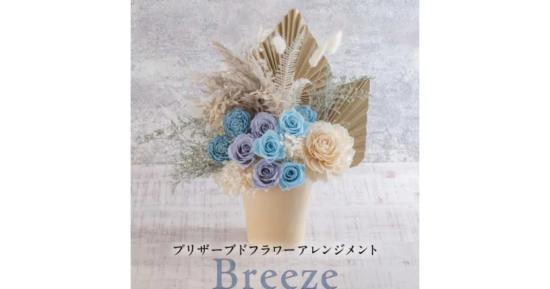 【ふるさと納税】プリザーブドフラワーアレンジメント Breeze【株式会社日比谷花壇】[AKBO013]