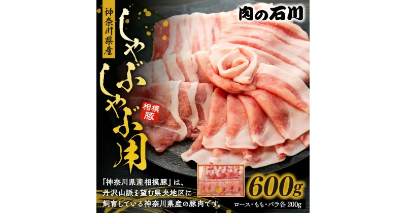 【ふるさと納税】神奈川県産 相模豚　しゃぶしゃぶ用　お肉・豚肉