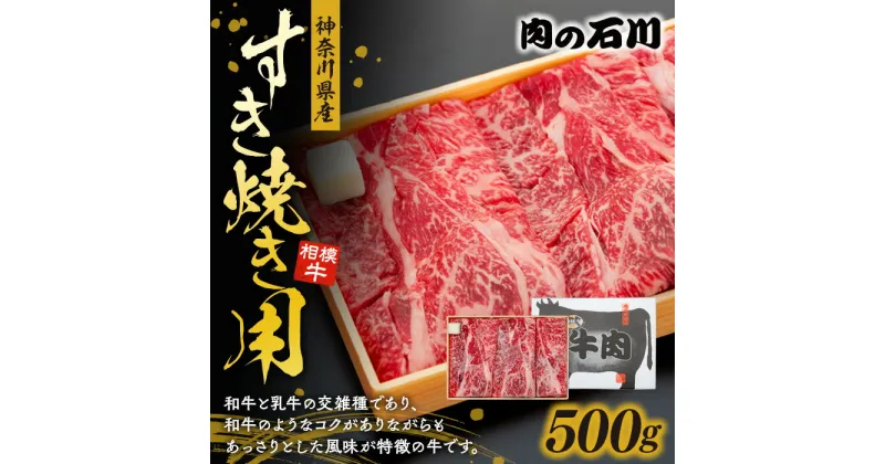 【ふるさと納税】神奈川県産 相模牛すき焼き用 500g　牛肉・お肉