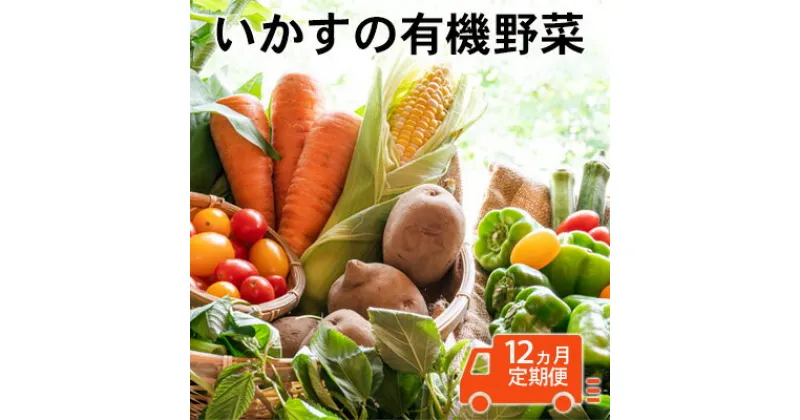 【ふるさと納税】いかすの有機野菜1年分（月1回10品お届け12回分）　定期便・ 野菜 セット 詰合せ 有機野菜 10品 冷蔵