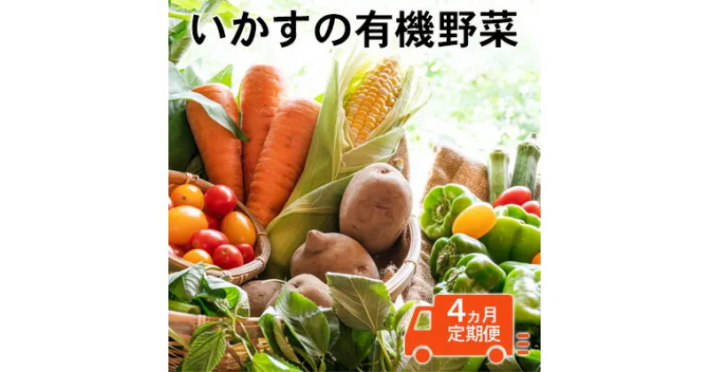 【ふるさと納税】いかすの有機野菜（月1回10品お届け4回分）　定期便・ 野菜 セット 詰合せ 有機野菜 10品 冷蔵