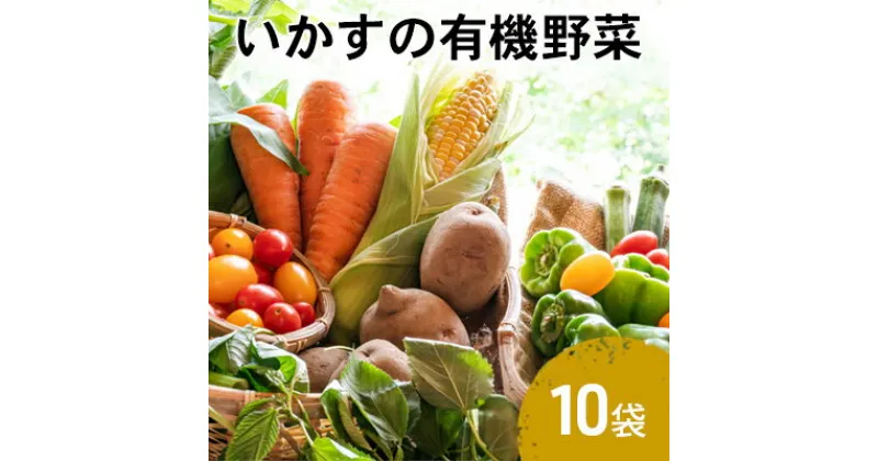 【ふるさと納税】いかすの有機野菜10袋　 有機 野菜 詰め合わせ 詰め合わせセット セット