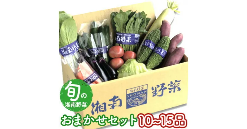 【ふるさと納税】野菜セット 旬の湘南野菜おまかせセット　 野菜 セット 詰合せ 　お届け：2024年12月下旬～2025年7月まで配送