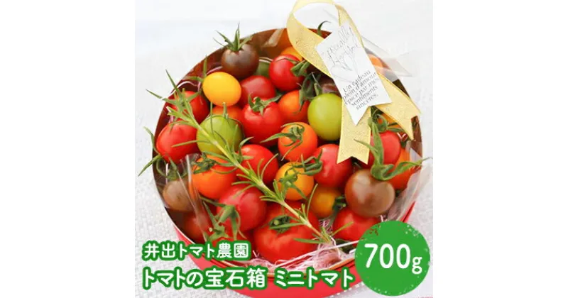 【ふるさと納税】【井出トマト農園】トマトの宝石箱　野菜・ミニトマト　お届け：ご入金後、1～2週間後に発送