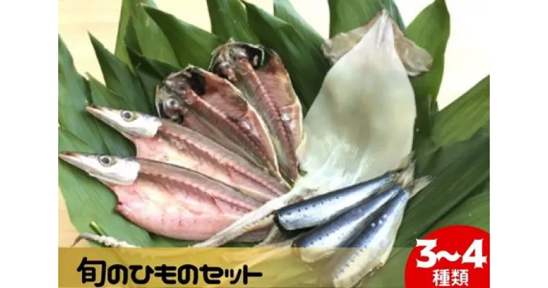 【ふるさと納税】 旬のひものセット3～4種 伝統200年の味 鈴伝商店　　魚貝類・干物　お届け：ご入金後、1～2週間後に発送