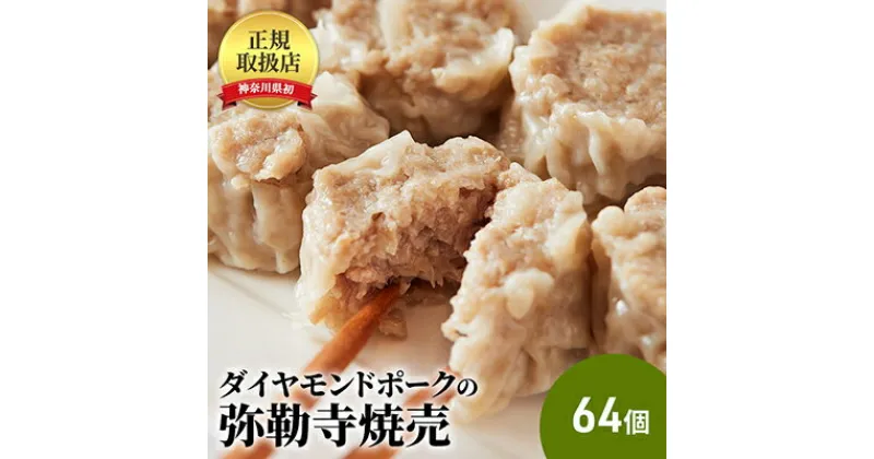 【ふるさと納税】肉の旨味が口の中いっぱいに広がる!ダイヤモンドポークの弥勒寺焼売　64個（8個入×8パック）　肉の加工・シュウマイ　お届け：ご入金後、1～2週間後に発送