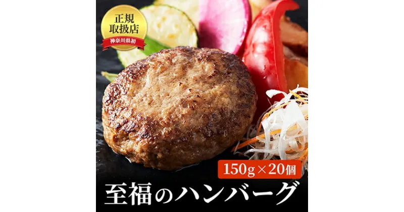 【ふるさと納税】至福のハンバーグ　20個セット　ダイヤモンドポークと黒毛和牛　お肉・ハンバーグ　お届け：ご入金後、1～2週間後に発送