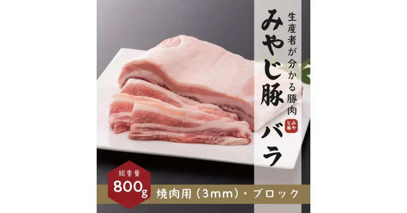 【ふるさと納税】希少ブランド豚『みやじ豚バラ 焼肉用・ブロックの2種(800g)』(冷蔵・生肉)　※お届け日指定不可　藤沢市　お届け：※状況により発送に1カ月～3カ月かかる場合がございます。