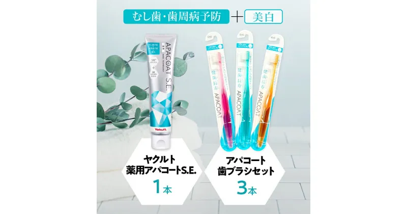 【ふるさと納税】歯ブラシ ヤクルト 薬用 歯磨き セット 歯磨き粉 薬用歯磨き粉 アパコート S.E. 予防 口臭 歯肉炎 歯槽膿漏 虫歯 歯 再石灰化 デンタルケア 歯ぶらし はぶらし 歯みがき はみがき 雑貨 日用品 神奈川県 神奈川 A1　お届け：ご入金後、1～2週間後に発送