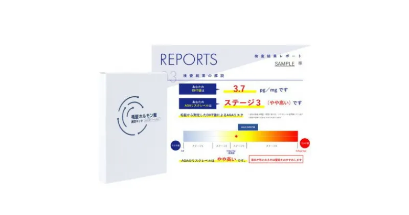 【ふるさと納税】AGAによる薄毛リスクが、髪の毛数本でわかる！【毛髪ホルモン量測定キット（DHT）】　 髪の悩み 男性 検査キット 男性型脱毛症 生え際 頭頂部 ボリューム 抜け毛 ケア 早期対策 　お届け：ご入金後、1～2週間後に発送