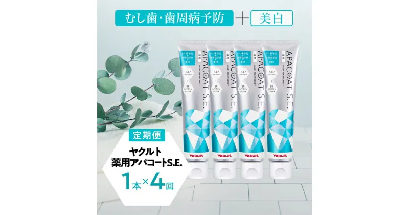 【ふるさと納税】【定期便 4回 隔月】ヤクルト 薬用アパコートS.E. 歯磨き 歯磨き粉 薬用歯磨き粉 アパコート S.E. 予防 口臭 歯肉炎 歯槽膿漏 虫歯 歯 再石灰化 デンタルケア 歯みがき はみがき　定期便・藤沢市　お届け：ご入金後、翌月から隔月で発送