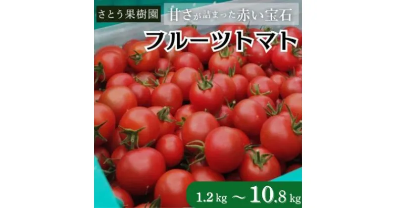 【ふるさと納税】トマト フルーツトマト 1.2kg～10.8kg 1～6箱 フルティカ 藤沢市 野菜 とまと ミニトマト ハウス栽培 A1　お届け：※2024年12月以降順次発送いたします。