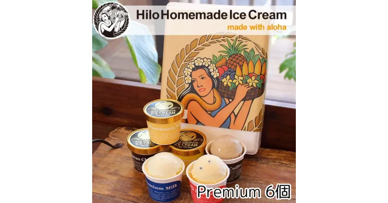 【ふるさと納税】アイス Hilo Homemade Ice Cream プレミアムアイスクリーム 6個 セット ヒロホームメイドアイス スイーツ おやつ デザート 手作り ギフト 贈答 お取り寄せ 冷凍 神奈川 藤沢　藤沢市　お届け：ご入金後、1～2週間後に発送