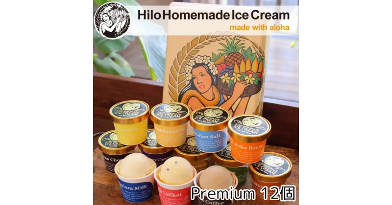 【ふるさと納税】アイス Hilo Homemade Ice Cream プレミアムアイスクリーム 12個 セット ヒロホームメイドアイス スイーツ おやつ デザート 手作り ギフト 贈答 お取り寄せ 冷凍 神奈川 藤沢　藤沢市　お届け：ご入金後、1～2週間後に発送