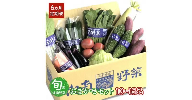 【ふるさと納税】野菜 【6カ月定期便】野菜セット 旬の湘南野菜おまかせセット 12月発送開始 湘南野菜 旬の野菜 ブランド野菜 生野菜 やさい 鮮度 セット 定期便 おまかせ 藤沢市　定期便・藤沢市　お届け：2024年12月下旬～2025年7月まで配送