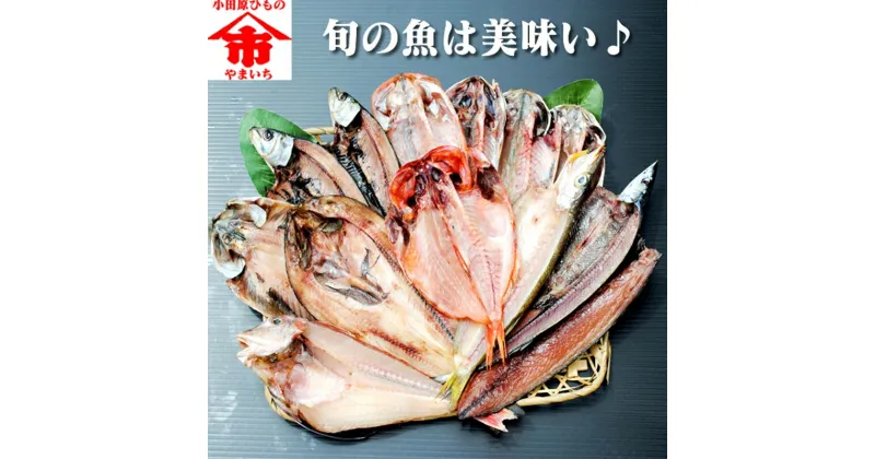 【ふるさと納税】おまかせ干物セット【惣菜 魚 干物 ひもの お取り寄せ 御中元 お中元 お歳暮 父の日 母の日 贈り物 家庭用 自宅用 贈答品 贈答用 ギフト 定番 朝食 朝ごはん 神奈川県 小田原市 】