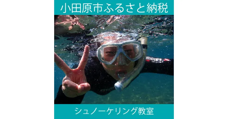 【ふるさと納税】海の中をのぞいてみよう！シュノーケリング教室【海 シュノーケリング レンタル ダイビングスクール シュノーケリング教室 水着とタオルだけ 送迎付き シュノーケリング教室【1日】ご招待券1名様分 神奈川県 小田原市 】