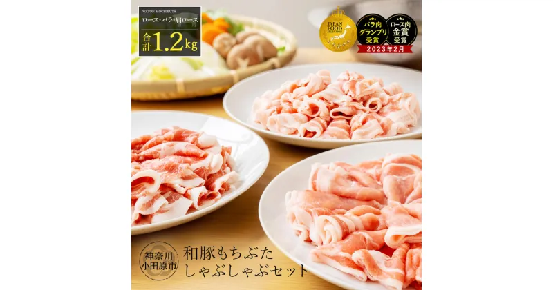 【ふるさと納税】 しゃぶしゃぶ 肉 和豚 もちぶた セット 合計 1.2kg ロース バラ 肩ロース ふるさと納税 【 豚肉 ポーク 豚しゃぶ しゃぶしゃぶ肉 冷凍 和豚もちぶた こだわりの豚肉 おいしい豚 贈り物 贈答品 ご褒美 神奈川県 小田原市 】