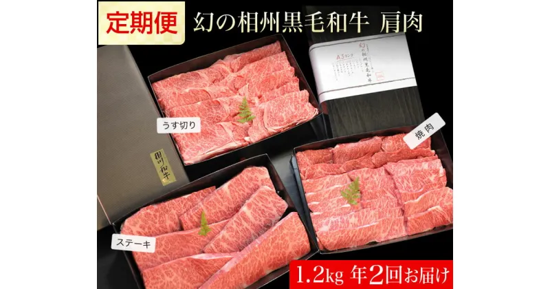 【ふるさと納税】牛肉 定期便 2回 幻の相州黒毛和牛肩肉 1.2kg×2回 計2.4kg【相州黒毛和牛 相州牛 幻の牛肉 極上の旨味と風味 キメ細かな上質の脂 様々な料理に ブランド牛 ブランド牛肉 神奈川特産品 神奈川県 小田原市 】