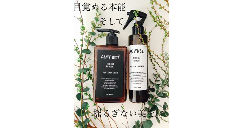 【ふるさと納税】キャントウェイトシャンプー(300ml) ビーフル化粧水(200ml) セット【スキンケア ヘアケア ボリューム ツヤ髪 ダメージケア　ボディケア 頭皮 素肌 美髪ケア 基礎化粧品 ギフト 誕生日 プレゼント 神奈川県 小田原市 】