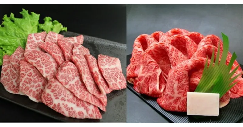 【ふるさと納税】足柄牛すき焼き用と焼肉用セット[高島屋選定品]【惣菜 牛肉 肩ロース すき焼き用 焼肉用 バラ肉 牛 ギフト 贈答用 贈答品 家庭用 自宅用 神奈川県 小田原市 】