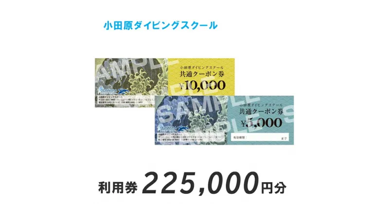 【ふるさと納税】小田原ダイビングスクール 共通クーポン券 225,000円分【225,000円分クーポン券 小田原でダイビング ダイビングスクール 1万円クーポン券22枚 5千円クーポン券1枚 ライセンス講習 神奈川県 小田原市 】