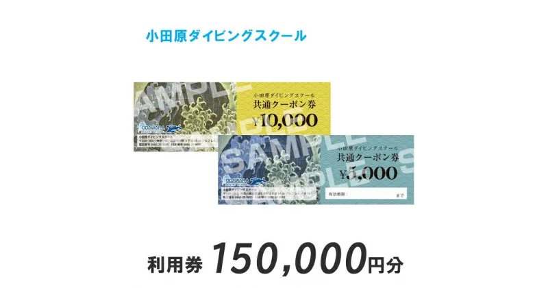 【ふるさと納税】小田原ダイビングスクール共通クーポン券 150,000円分【150,000円分クーポン券 小田原でダイビング ダイビングスクール 1万円クーポン券15枚 ライセンス講習 ダイビングライフ 神奈川県 小田原市 】