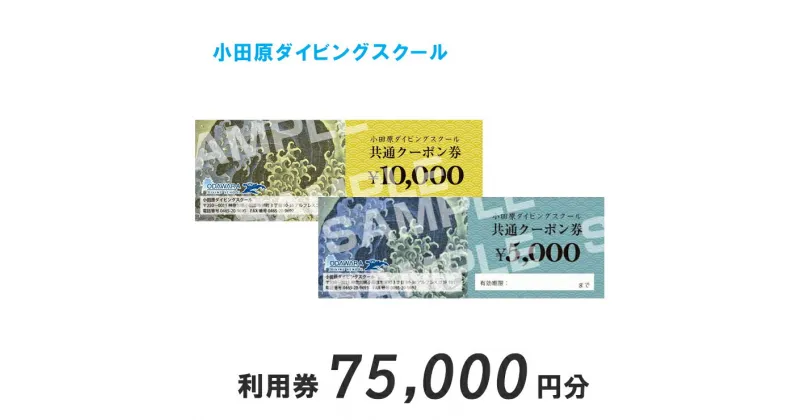 【ふるさと納税】小田原ダイビングスクール共通クーポン券 75,000円分【75,000円分クーポン券 小田原でダイビング ダイビングスクール 1万円クーポン券7枚 ライセンス講習 ダイビングライフ 5千円クーポン券1枚 神奈川県 小田原市 】