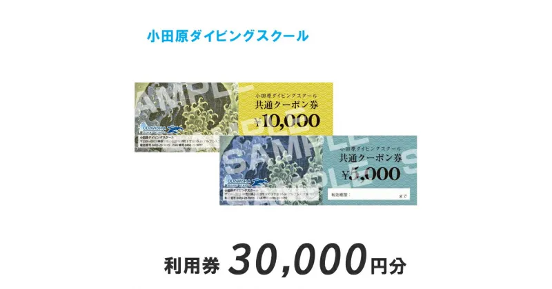 【ふるさと納税】小田原ダイビングスクール共通クーポン券 30,000円分【30,000円分クーポン券 小田原でダイビング ダイビングスクール 1万円クーポン券3枚 ライセンス講習 ダイビングライフ 神奈川県 小田原市 】