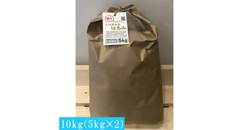 【ふるさと納税】志村屋米穀店 令和6年産新米小田原市産　はるみ　10kg（5kgx2）＜出荷時期：10月中旬より順次出荷開始＞【おこめ 米 コメ こめ はるみ 特A 贈答用 ご家庭で 贈り物 クラフト袋入り 神奈川県 小田原市 】