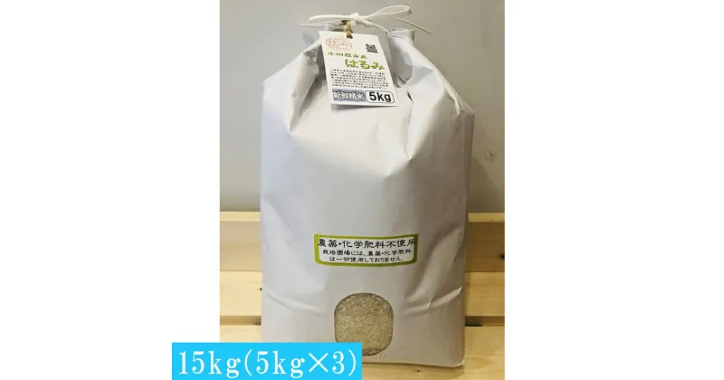 【ふるさと納税】 志村屋米穀店 令和6年産新米小田原市産 農薬・化学肥料不使用はるみ 新米 15kg（5kgx3）＜出荷時期：10月中旬より順次出荷開始＞【おこめ 米 コメ こめ はるみ 特A 贈答用 ご家庭で 贈り物 クラフト袋入り 神奈川県 小田原市 】