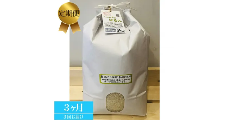 【ふるさと納税】【定期便 3ヶ月】 志村屋米穀店 令和6年産新米小田原市産 農薬・化学肥料不使用はるみ 新米 5kg＜出荷時期：10月中旬より順次出荷開始＞【おこめ 米 コメ こめ はるみ 特A 贈答用 ご家庭で 贈り物 クラフト袋入り 神奈川県 小田原市 】