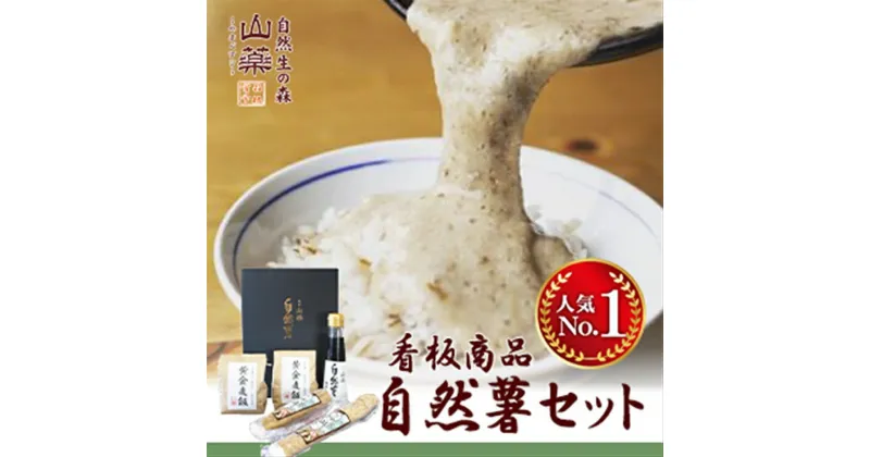 【ふるさと納税】お店の味をご家庭で。【箱根自然薯の森 山薬】自然薯セット(2～3人前×2回分)【とろろ 極上とろろ 山芋 箱根 お家用 家庭用 国産 セット商品 自然薯 神奈川県 小田原市 】