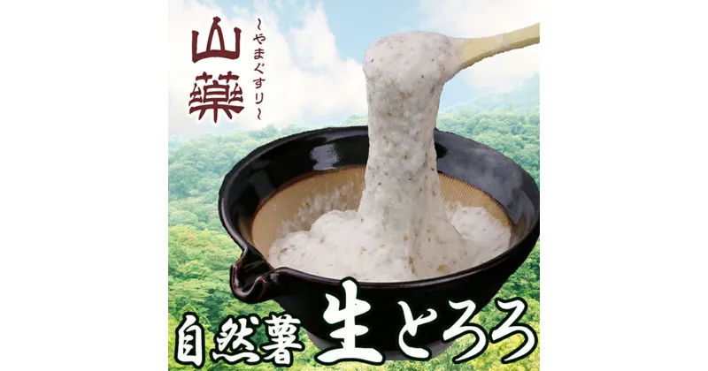 【ふるさと納税】自然薯の味をお楽しみください。自然薯生とろろ100g×5pセット【とろろ 極上とろろ 山芋 箱根 お家用 家庭用 国産 セット商品 自然薯 味付とろろ 神奈川県 小田原市 】