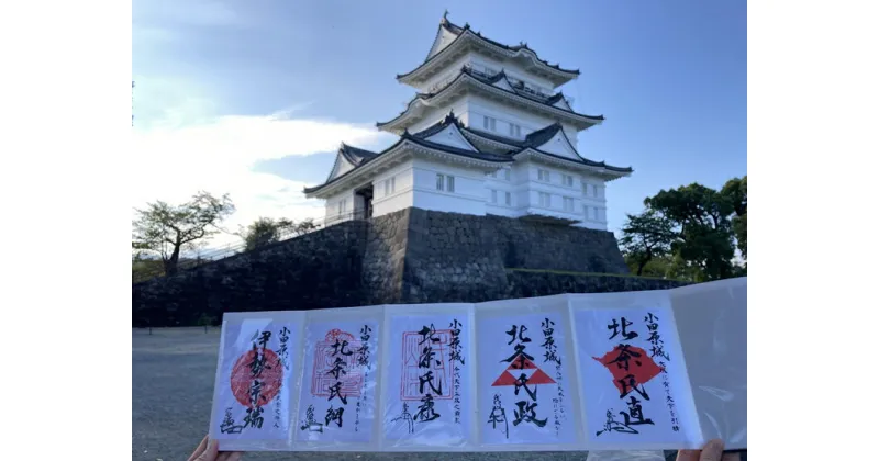 【ふるさと納税】小田原城御城印・御城印帳・石垣山城御城印・北条五代武将印セット【小田原城 石垣山城 北条五代武将 武将 小田原御城印 武将印 5枚組 花押 朱印 古文書 小田原城天守閣ミュージアムショップ 神奈川県 小田原市 】