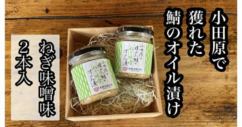 【ふるさと納税】 ・鯖のオイル漬け【ねぎ味噌×2本】【 惣菜 鯖 サバ 海鮮 魚介 ふりかけ おつまみ お取り寄せ 御中元 お中元 お歳暮 父の日 母の日 贈り物 日本酒 焼酎】【家庭用 自宅用 贈答品 贈答用 ギフト ねぎ味噌 神奈川県 小田原市 】