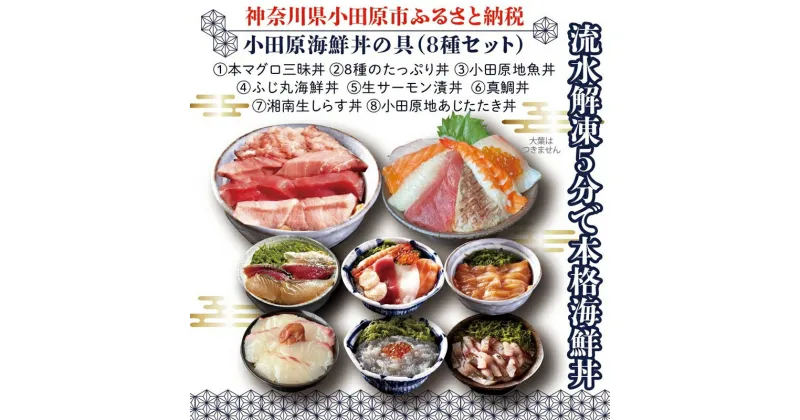 【ふるさと納税】【高級食材本マグロ、曽我の梅干し、小田原地あじ、小田原港直送地魚丼、大磯港直送、湘南生しらす】小田原海鮮丼の具（8種セット）【本まぐろ丼 小田原地魚丼 小田原地あじたたき丼 国産活〆真鯛入り酒仕込み 神奈川県 小田原市 】