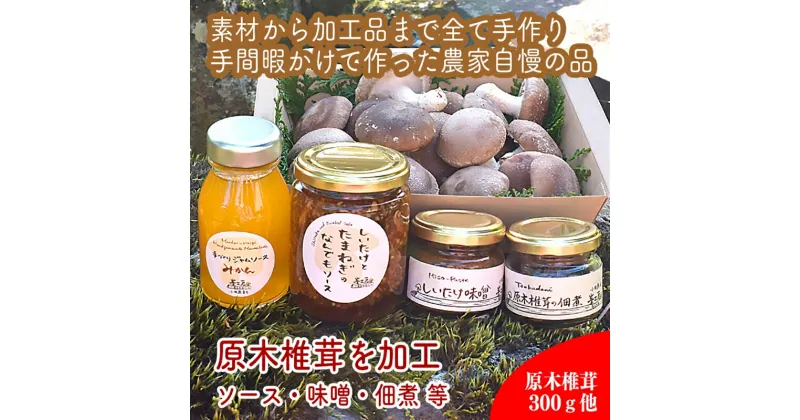 【ふるさと納税】原木生椎茸と椎茸のソース&味噌&佃煮、椎茸の廃ホダを肥料に育ったみかんジャムのセット【家庭用 自宅用 贈答品 贈答用 ギフト お取り寄せ お中元 お歳暮 贈り物 お祝い 神奈川県 小田原市 】