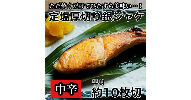 【ふるさと納税】 【中辛】厚切り銀鮭 半身1枚 約10枚切【鮭 塩鮭 サケ 焼き魚 魚 おつまみ 惣菜 海鮮 珍味 お取り寄せ 御中元 お中元 お歳暮 父の日 母の日 贈り物 日本酒 焼酎 神奈川県 小田原市 】