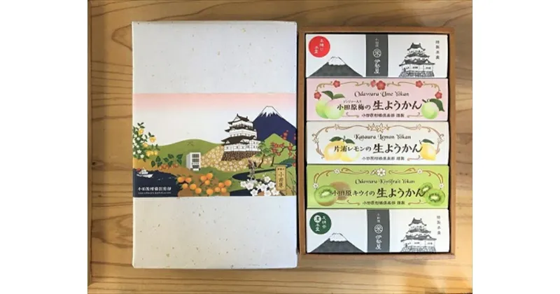 【ふるさと納税】小田原老舗和菓子店の手づくりようかん5本セット【和菓子店　手づくりようかん5本セット レモンようかん　フルーツようかん 足柄茶ようかん 本練ようかん キウイようかん 梅ようかん 神奈川県指定銘菓 神奈川県 小田原市 】