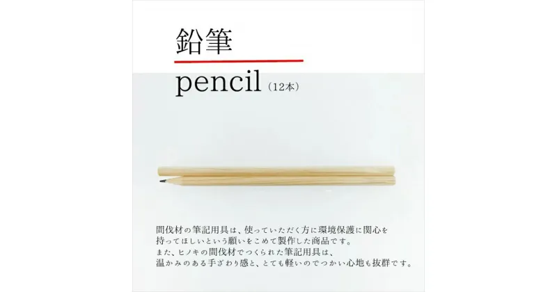 【ふるさと納税】小田原・箱根の間伐材 ヒノキの鉛筆12本_109054★書写　書き方　2B　新1年生【鉛筆 えんぴつ 卒園記念 卒園記念品 卒園 卒業 入学祝い 準備 記念品 ギフト プレゼント 保育園 幼稚園 小学生 無地 シンプル 神奈川県 小田原市 】