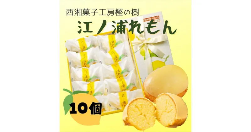 【ふるさと納税】西湘菓子工房樫の樹　江ノ浦れもん10個入りギフト 【 お菓子 スイーツ 神奈川県 小田原市 】