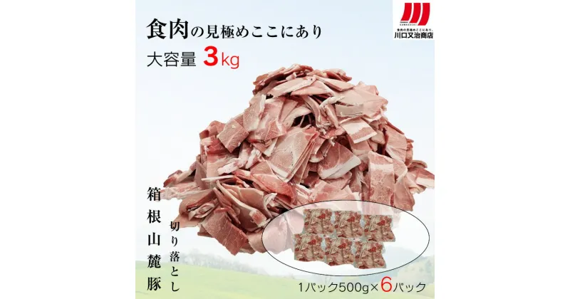 【ふるさと納税】箱根山麓豚　モモ・ウデ切り落とし3K盛り(500g×6パック)【 箱根山麓豚 切り落とし 神奈川県 小田原市 】