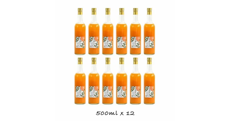 【ふるさと納税】小田原産江之浦みかん100％ストレートジュース500ml12本【 みかんジュース 神奈川県 小田原市 】