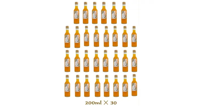 【ふるさと納税】小田原産江之浦みかんスパークリング果汁入り飲料果汁50％200ml30本【 みかんジュース スパークリングジュース 神奈川県 小田原市 】